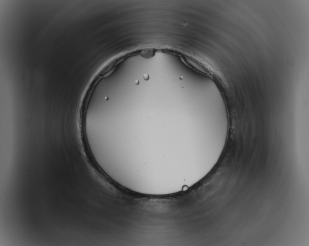 X0000092010942200710041023