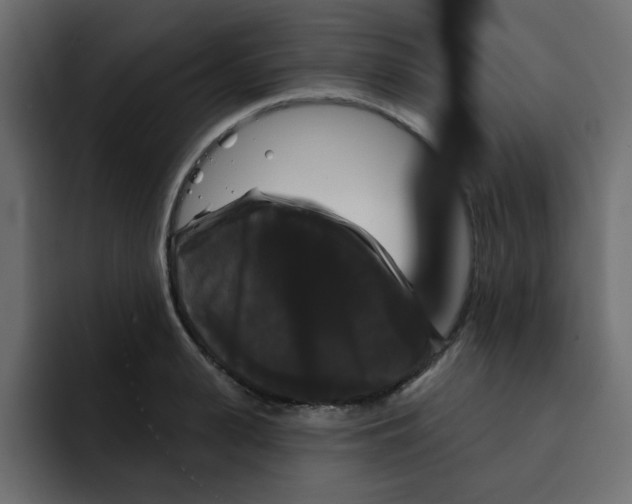 X0000092010943200710041023