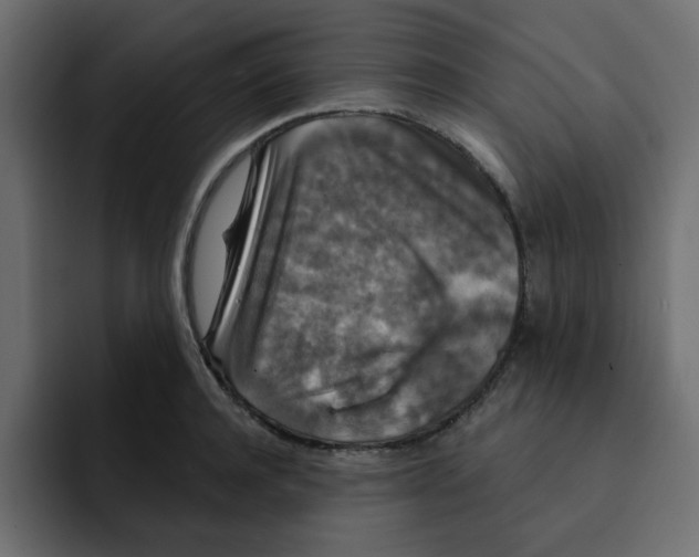 X0000092010944200710041023