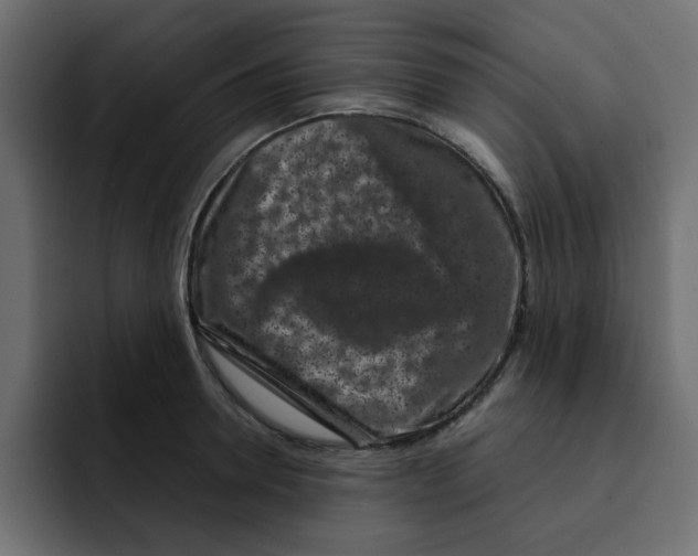 X0000092010946200710041023