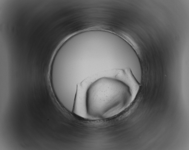 X0000092010948200710041023