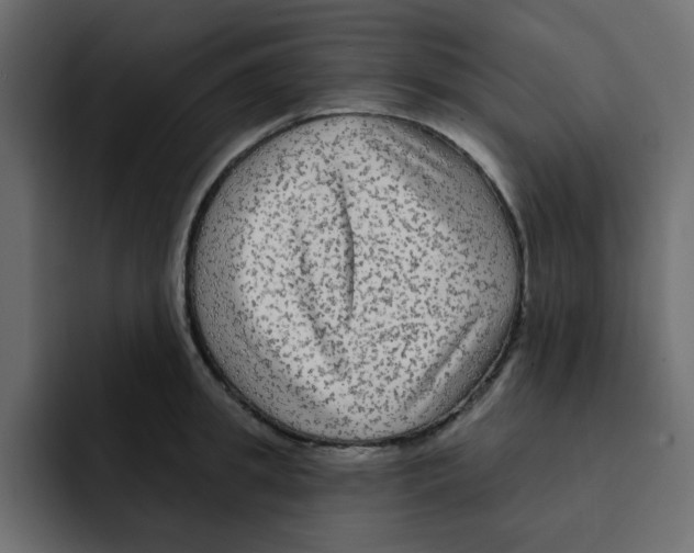 X0000092010949200710041023