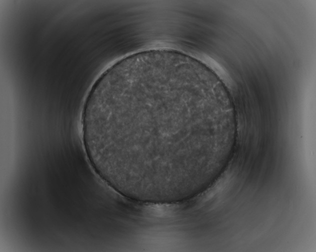 X0000092010950200710041023