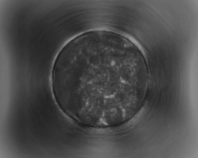 X0000092010951200710041023