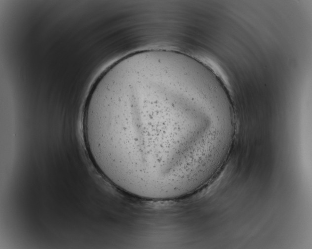 X0000092010952200710041023