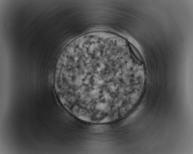 X0000092010953200710041023