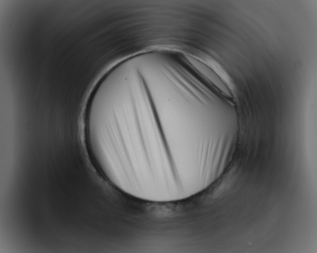 X0000092010955200710041023
