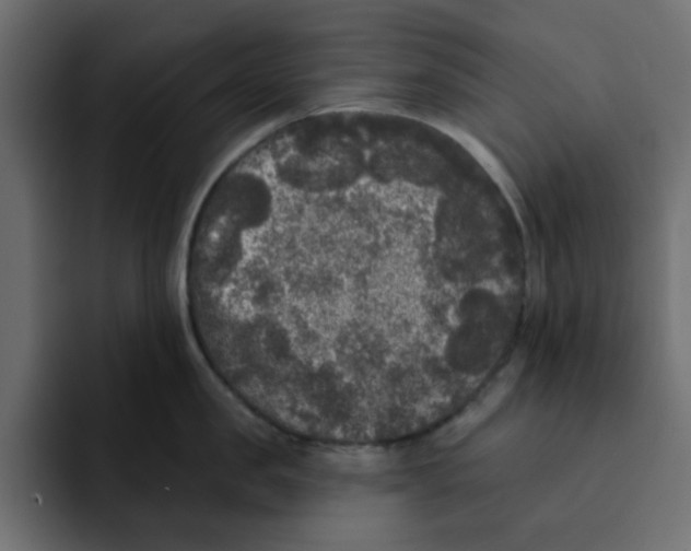 X0000092010957200710041023