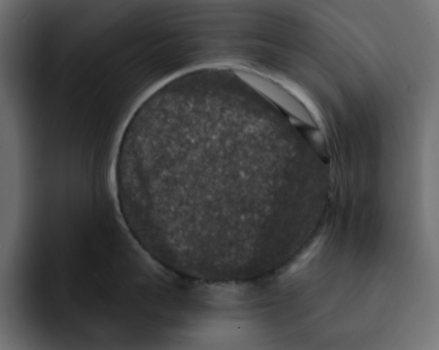 X0000092010959200710041023