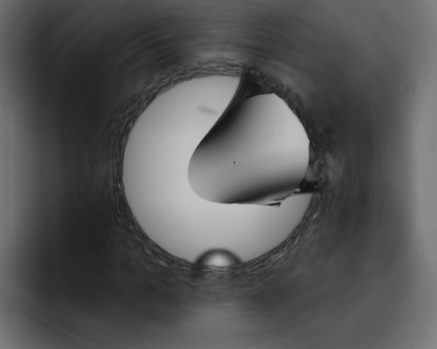 X0000092010965200710041023