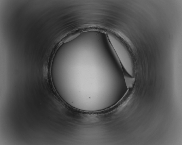 X0000092010969200710041023