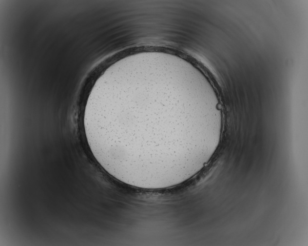 X0000092010971200710041023