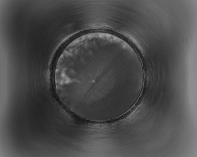 X0000092010975200710041022