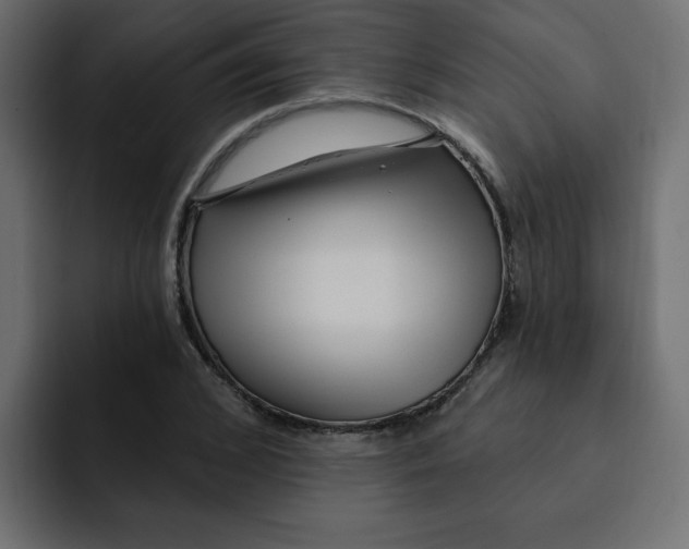 X0000092010976200710041022