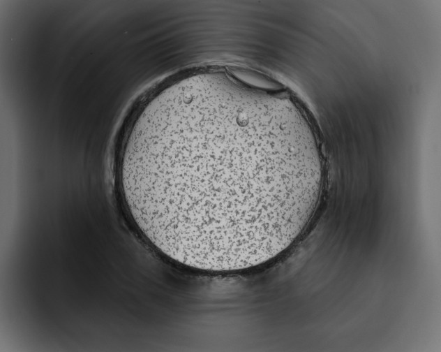 X0000092010979200710041022