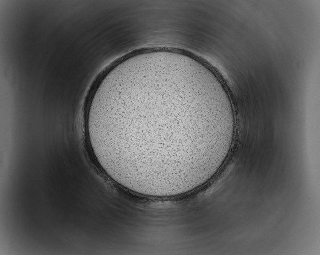 X0000092010982200710041022