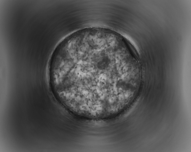 X0000092010983200710041022