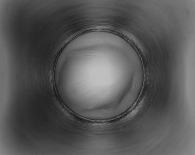 X0000092010985200710041022