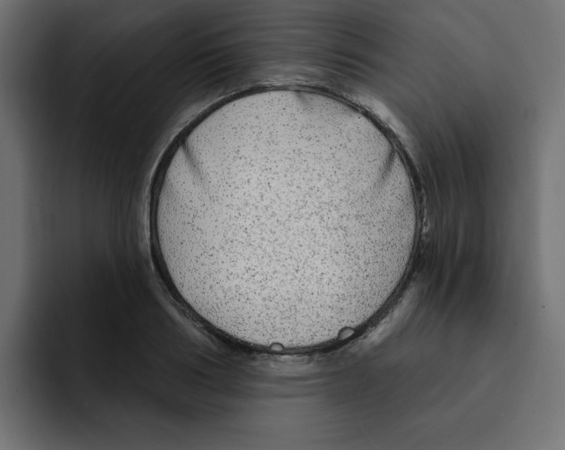 X0000092010986200710041022