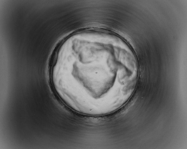 X0000092010987200710041022