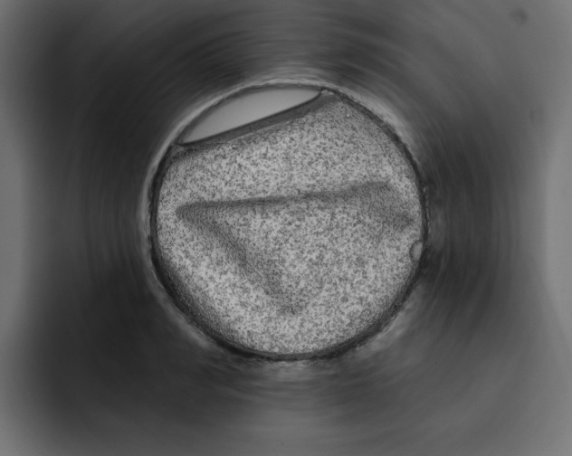 X0000092010990200710041022
