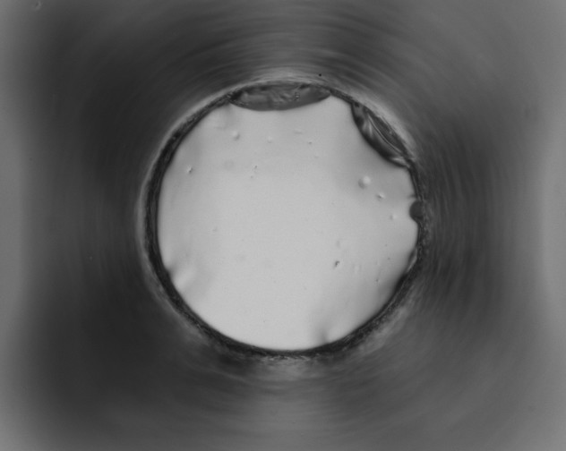 X0000092010991200710041022