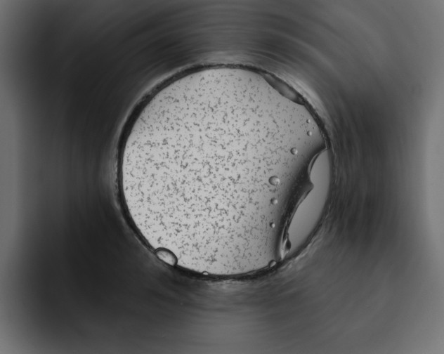 X0000092010992200710041022
