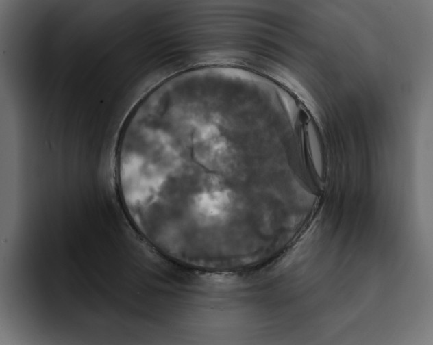 X0000092010994200710041022