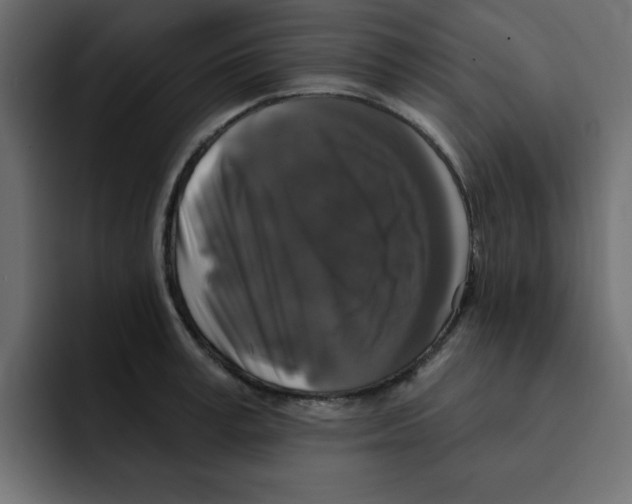 X0000092010995200710041022