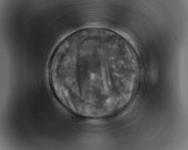 X0000092010998200710041022