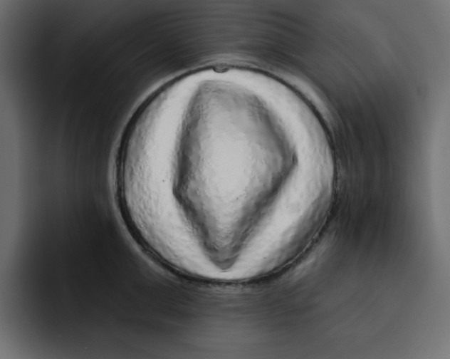 X0000092010999200710041022