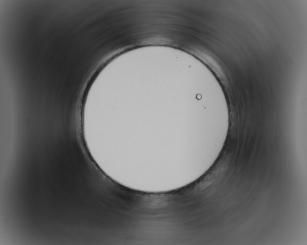X0000092011000200710041022