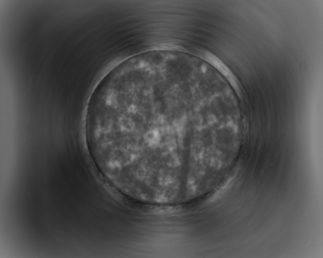 X0000092011002200710041022