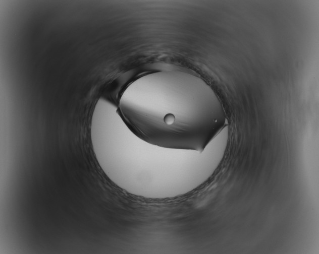 X0000092011010200710041022