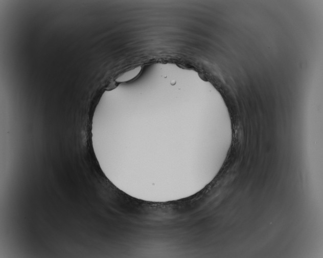 X0000092011012200710041022