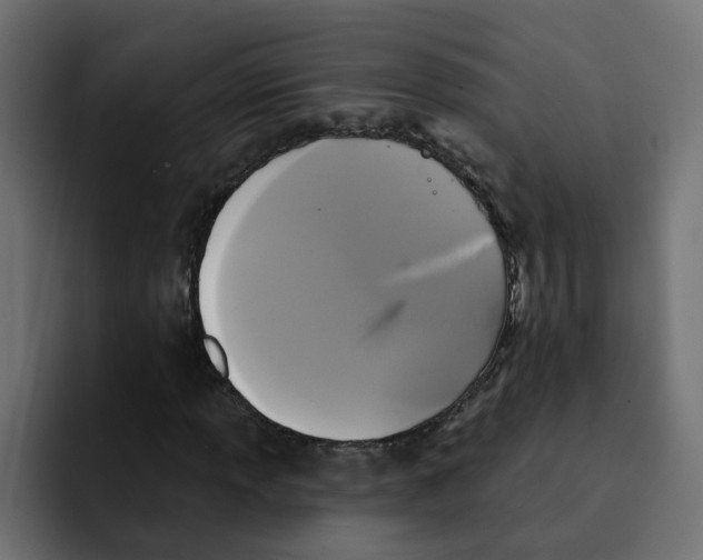 X0000092011013200710041022