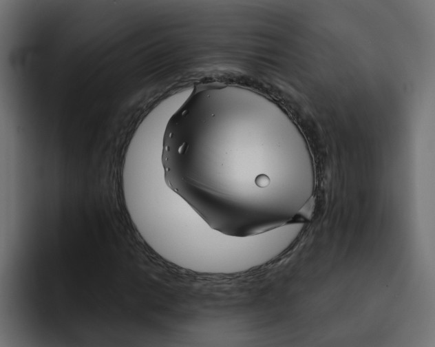 X0000092011014200710041022