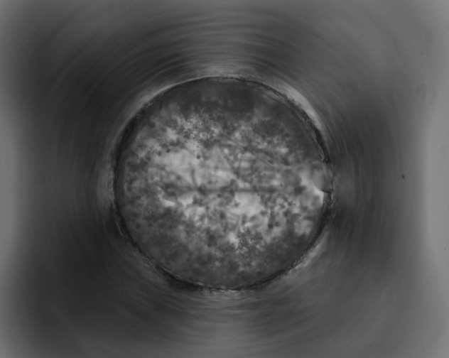 X0000092011019200710041022