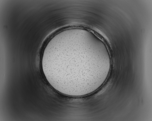 X0000092011021200710041022
