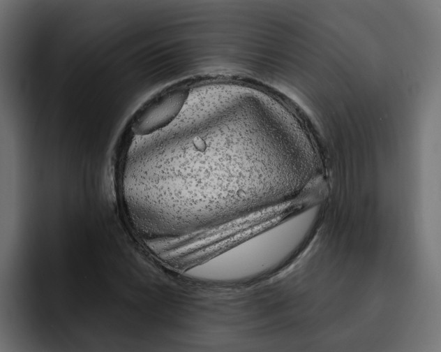 X0000092011022200710041022
