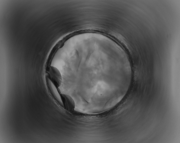 X0000092011024200710041022