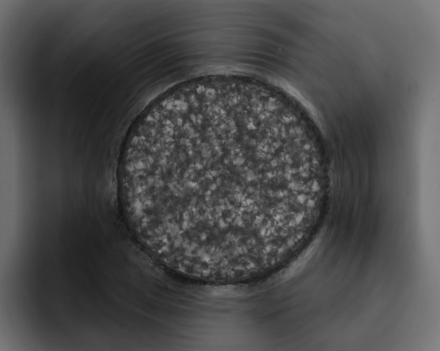 X0000092011025200710041022