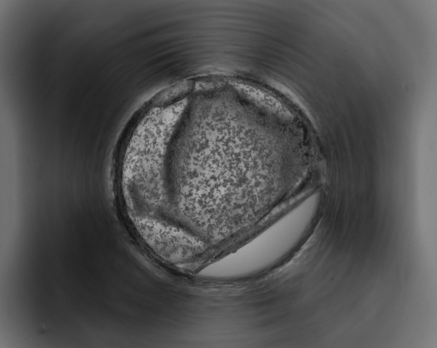 X0000092011026200710041022