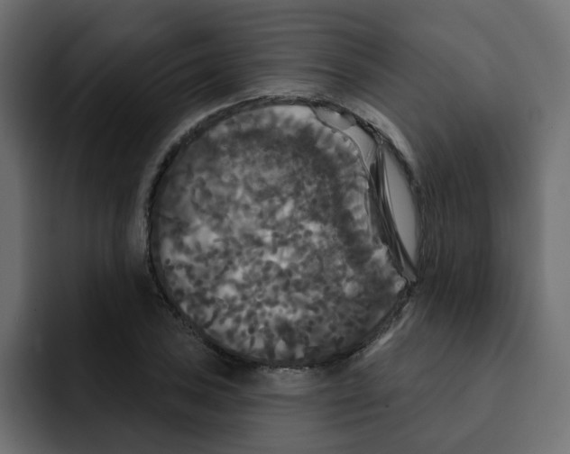 X0000092011027200710041022