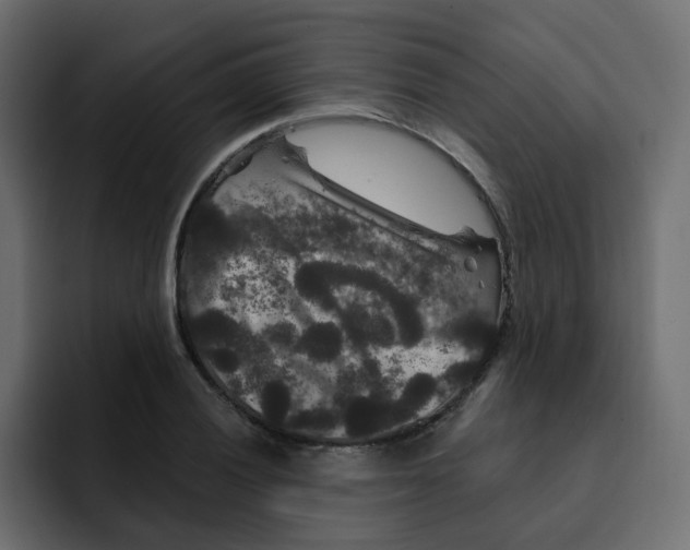 X0000092011028200710041022