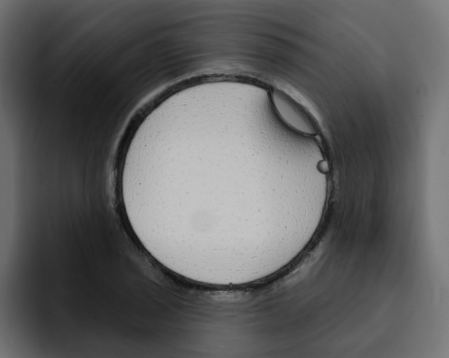 X0000092011029200710041022