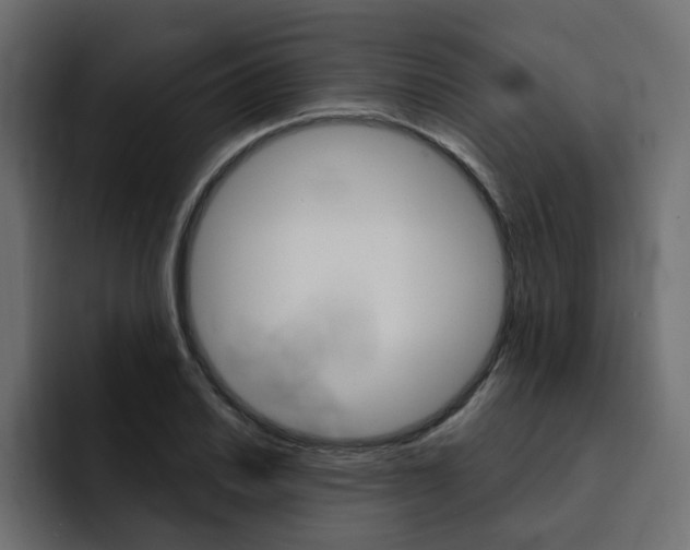 X0000092011030200710041022
