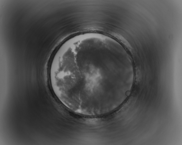 X0000092011031200710041022