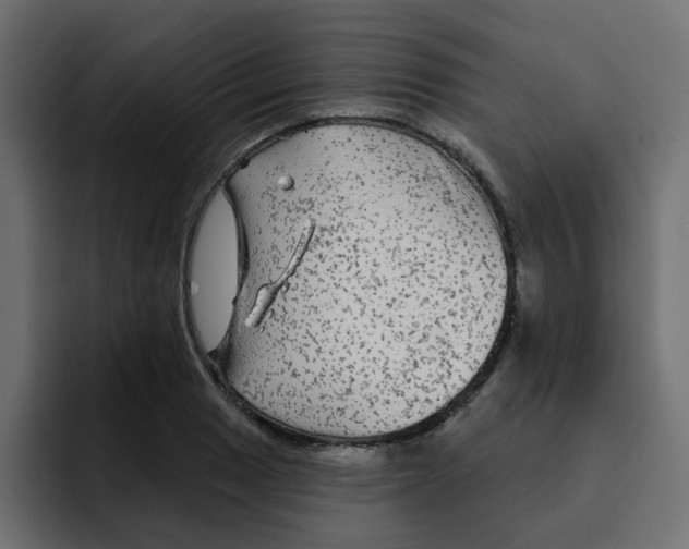 X0000092011033200710041022