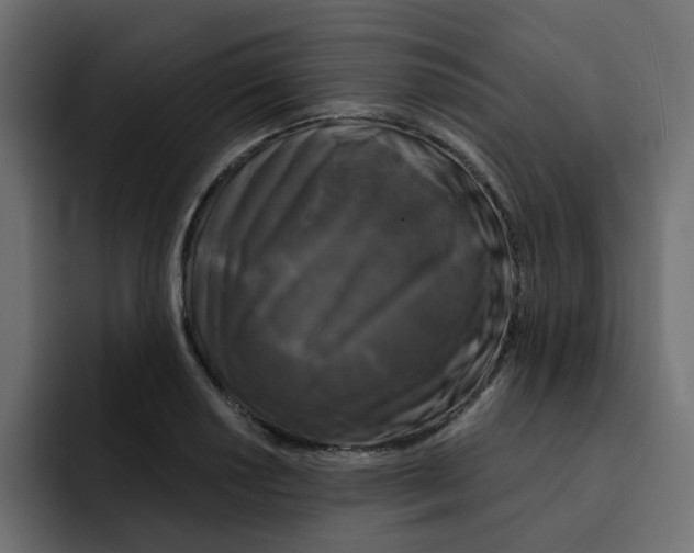 X0000092011034200710041022